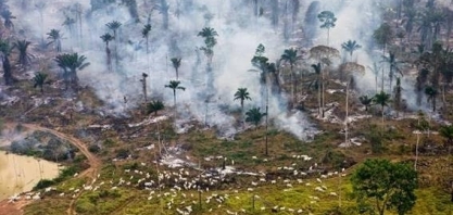 Um bilhão de vacas no mundo podem ser afetadas por estresse térmico