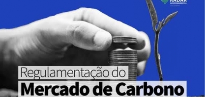 Governo prepara mercado de carbono com teto de emissão e proteção a índios