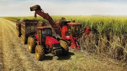 Cana: Centro-Sul processa 47,87 mi de t na 1ª quinzena de agosto, + 23,38%