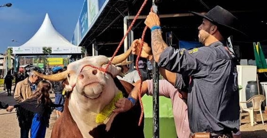 Tempo aberto nos primeiros sete dias de evento levou grande público ao Parque de Exposições Assis Brasil, em Esteio. Foto Fernando Dias, Seapi, Divulgação