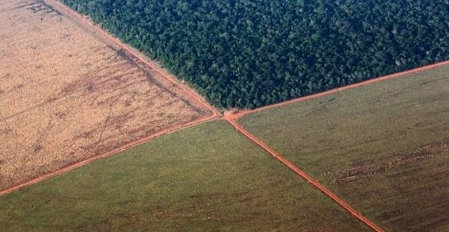 Milhões de ha de soja em fazendas com indícios de problemas ambientais