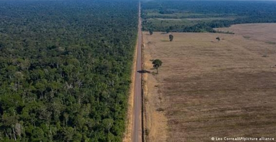 Dados do Sistema de Detecção de Desmatamento em Tempo Real (Deter) sugerem redução da área com alertas em 71% em agosto. Foto- Leo Correa-AP-picture alliance