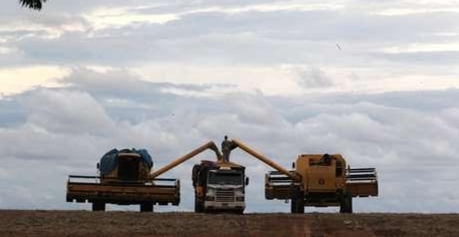 Brasil colhe 2,4 bilhões de toneladas de grãos em uma década 