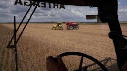 Argentina: Comércio agrícola com o Brasil pode ficar ainda mais competitivo