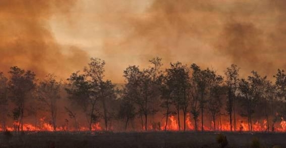 Planeta tem o mês de setembro mais quente já registrado, diz observatório