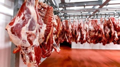 Exportação de carne bovina em 2023 vê volumes estáveis e queda em preços