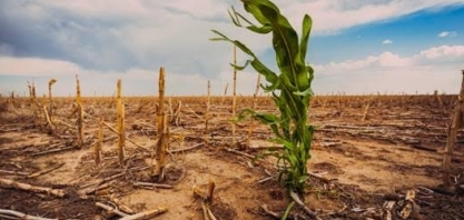 Agro começa a sentir os efeitos de eventos climáticos extremos