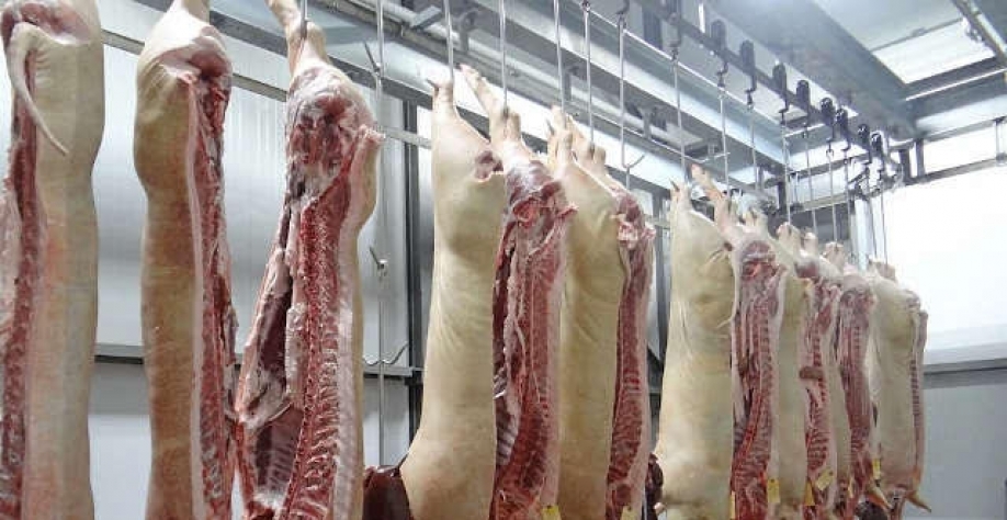 Carne suína: Exportação em 2023 alcança recorde de receita de US$ 2,818 bi