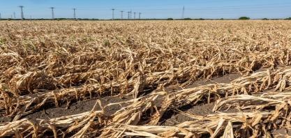 Clima já faz Brasil perder 11 milhões de toneladas de grãos