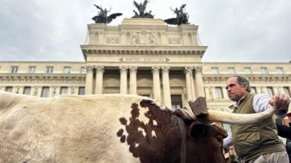 Agricultores levam bois e tratores em protesto na Espanha contra UE