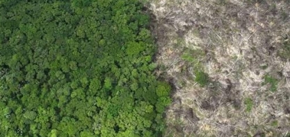 Amazônia bate recorde de queimadas em fevereiro