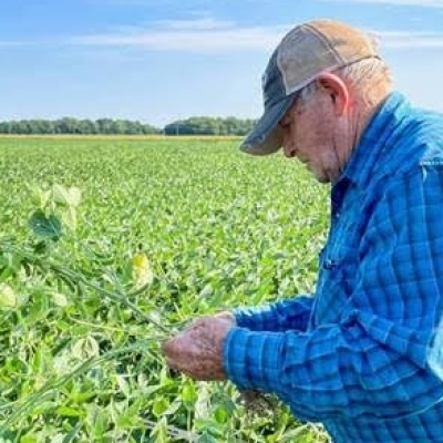 Estados Unidos devem plantar mais soja e menos milho nesta safra