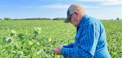 Estados Unidos devem plantar mais soja e menos milho nesta safra