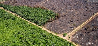 Como o governo prevê recuperar áreas degradadas da Amazônia e do Cerrado