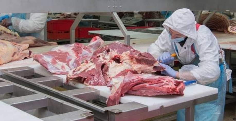 Exportação total de carne bovina em abril de 2024 é recorde de 236.842 t