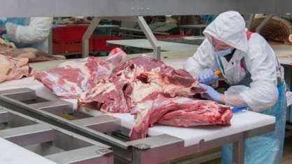 Exportação total de carne bovina em abril de 2024 é recorde de 236.842 t