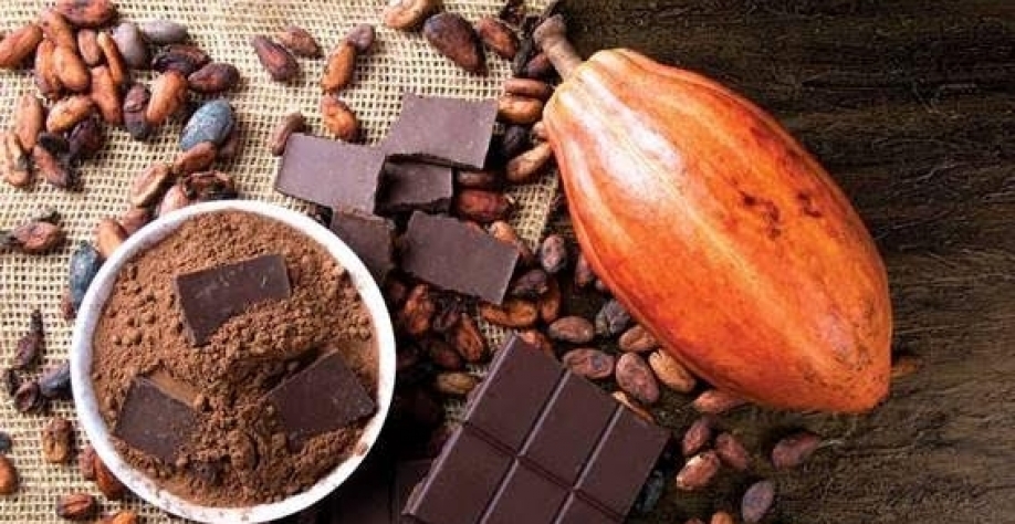 Colheita de cacau fracassa e abala a indústria de chocolate