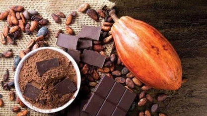 Colheita de cacau fracassa e abala a indústria de chocolate