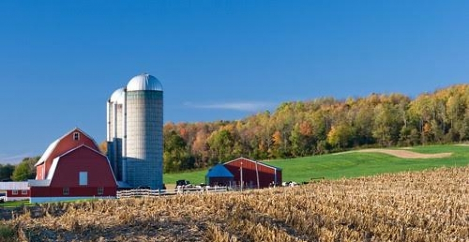 EUA têm déficit agrícola recorde, e Brasil é um dos responsáveis