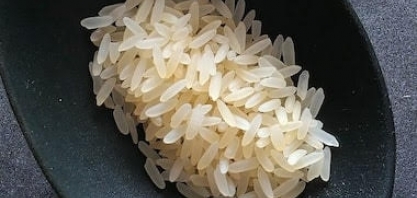 Importar arroz é subsidiar também quem não precisa