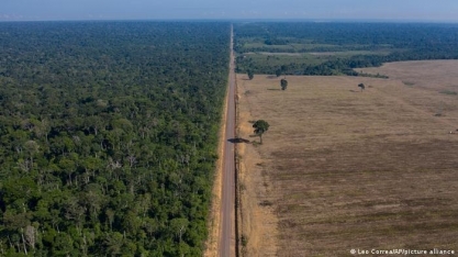 Avanço da soja sobre floresta causa prejuízo bilionário