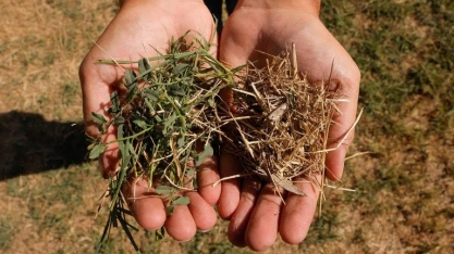 Mudanças climáticas já aumentam preços de alimentos e preocupam BCs