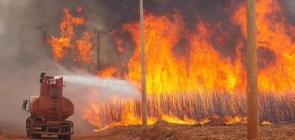 Queimadas em SP causaram prejuízo de R$ 1 bi ao agro, estima governo