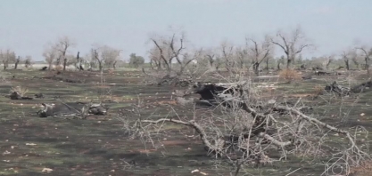 Eventos climáticos extremos dificultam produção agrícola no mundo