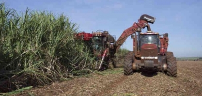 São Martinho: Incêndios atingem 20 mil hectares de cana da companhia