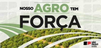 Agro/SP: Balanço do setor mostra superávit de 9,7% nos 7 meses do ano