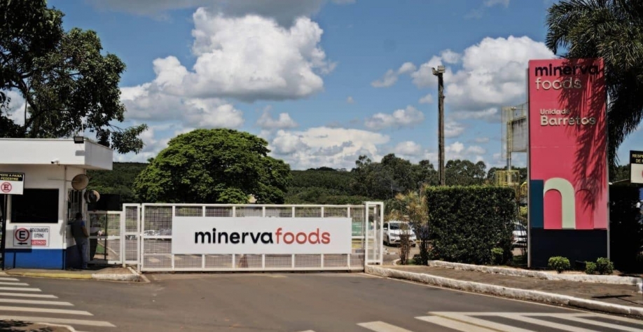 Minerva: Lucro líquido cai 21% no 2T24, para R$ 95,4 milhões