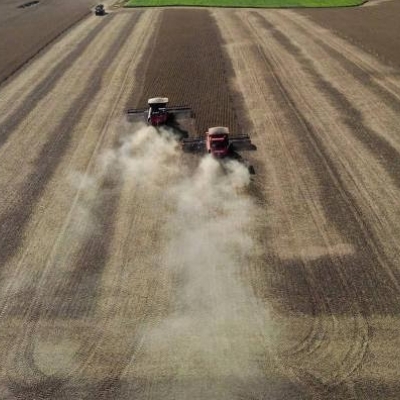 Brasil faz maior importação de soja das últimas duas décadas