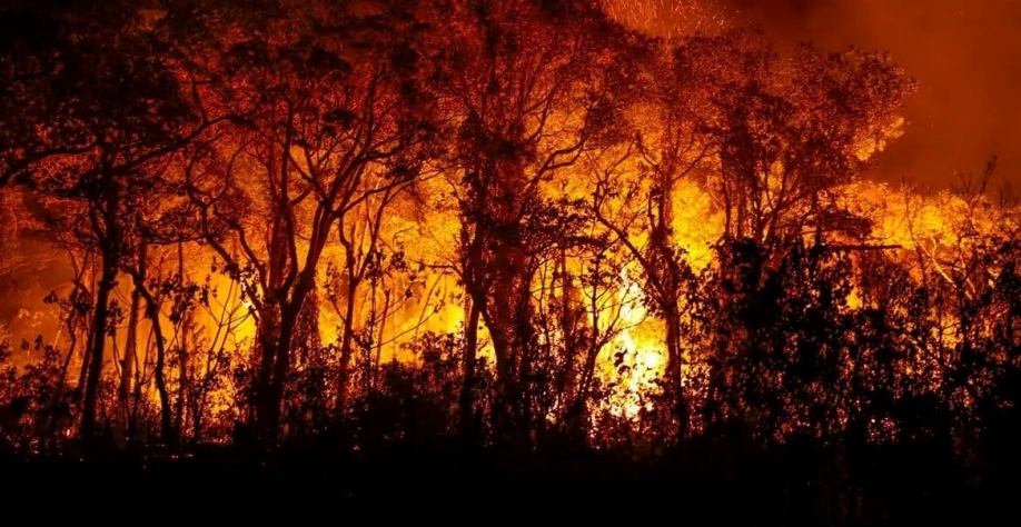 Governos estaduais e federal pecam na prevenção de incêndios