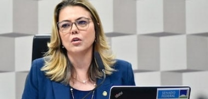 O desabafo de senadora e os valores pífios para conter os incêndios