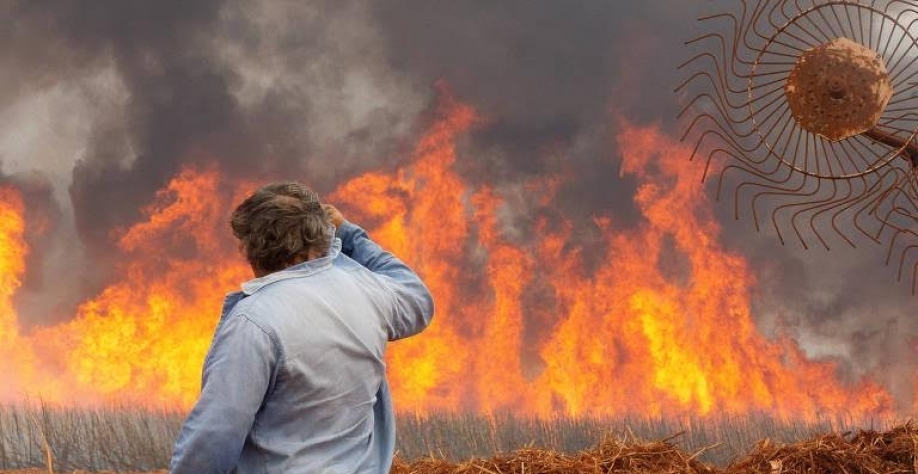 Datagro reduz projeção de safra e produção de açúcar após queimadas em SP