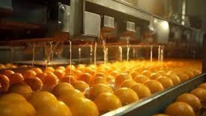 Estoque de suco de laranja aumenta apesar de queda na produção