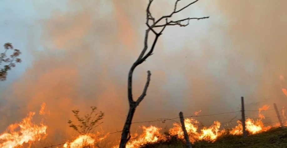 Delegado da PF diz que há indícios de ação coordenada em incêndio