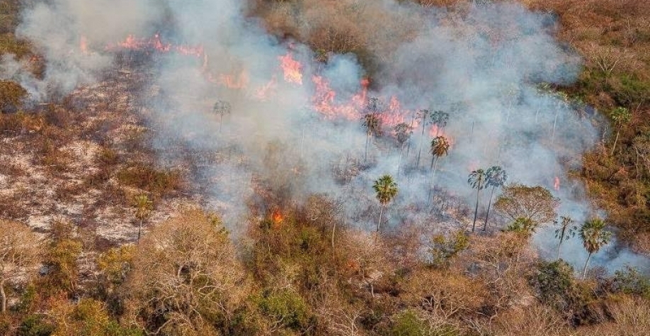 Advogado de Beira-Mar é multado em R$ 50 mi por incêndio no pantanal