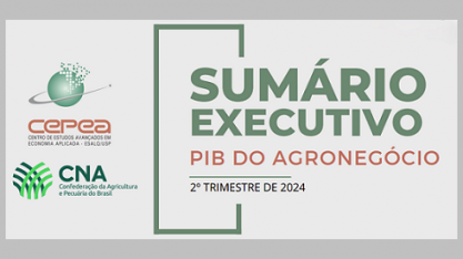 Sumário Executivo do PIB do Agronegócio 2º Trimestre/2024