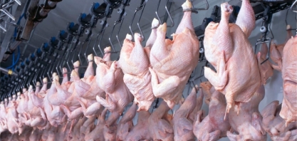 Exportação de frango tem 2º maior volume apesar de recuo da China