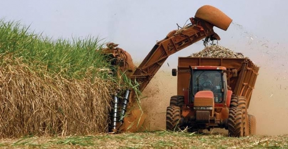 Mercado de crédito de carbono pode aumentar ganhos de produtores de cana