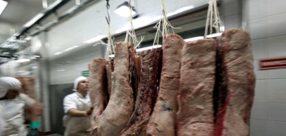 Exportação brasileira de carne bovina registra recorde em outubro