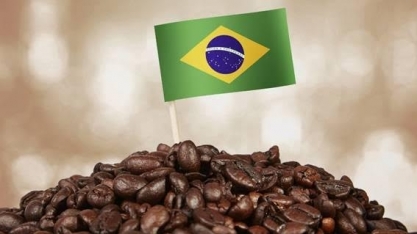 Café: Todos de olho no Brasil – Por Marcelo Fraga Moreira