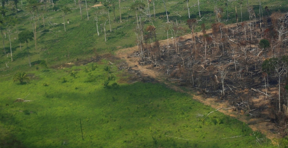 Desmatamento na amazônia cai 30,6%, com menor área devastada em 9 anos