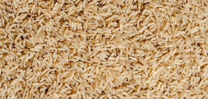 Exportações de arroz caíram 20% em novembro e 26% no ano