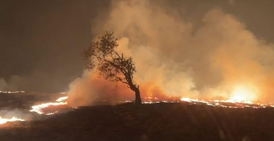 Clima e incêndios afetaram PIB do agronegócio, aponta economista