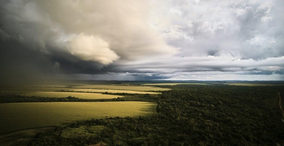 Chuva na amazônia contribui em 57% da renda do agro do Brasil