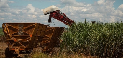 Produtividade da cana no Centro-Sul caiu 10,8% na safra 2024/25