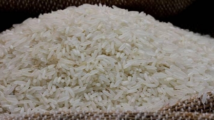 Arroz: Conab quer baixar preço, dizem entidades que contestam dados