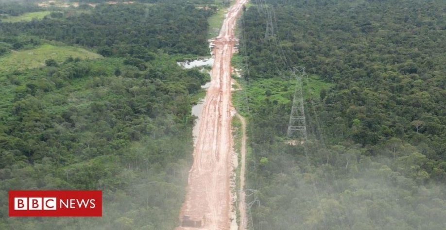 A estrada construída para a COP30 em Belém que vai desmatar a Amazônia